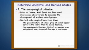 Phylogenetic Reconstruction: Part 3 - Reconstruction Using Morphological Features (Continued)