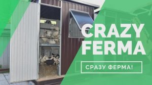 Куда переселить кур зимой_ Утепленный отапливаемый курятник для несушек от CrazyFerma!