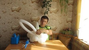 Лебедь из Шаров