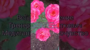 МГНОВЕННОЕ ИСЦЕЛЕНИЕ. Медитация на Эйфочувство (Ф.Кинслоу)