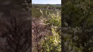 @аввакум землин. донские казаки,пасха 16.04.23.