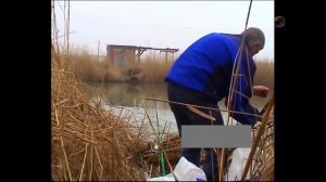 Тарань. Канал в районе Приморско-Ахтарска. В этот день удачно совпали_ отличный клев и теплая погода