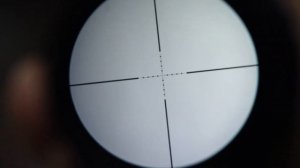 Оптический прицел Nikko Stirling Panamax 3-9x50 AO Видео Обзор