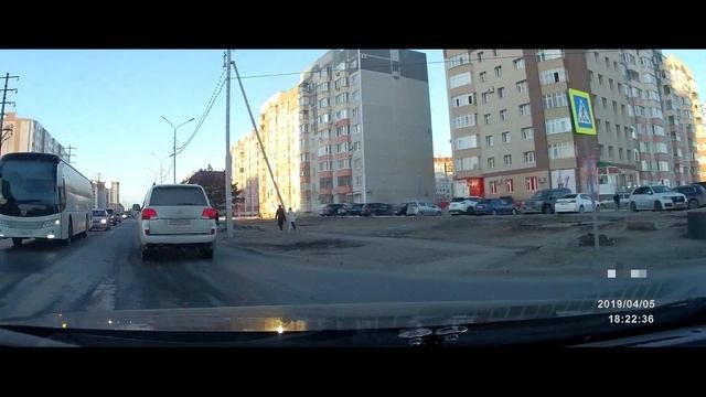 Умная собака