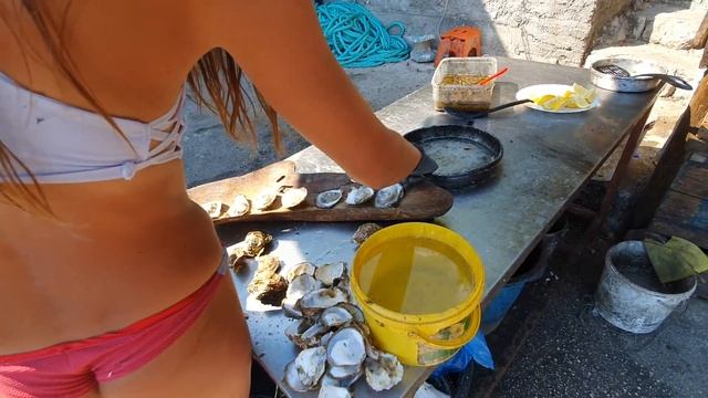 Устричная ферма Дражин Врт, Черногория, Август 2019 г. смотреть онлайн