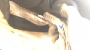 Контрактный двигатель на Фольксваген Транспортер Т5 2.5 BNZ