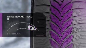 NEXEN WinGuard Sport 2