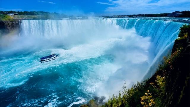 Что такое вода и зачем она нужна. смотреть онлайн