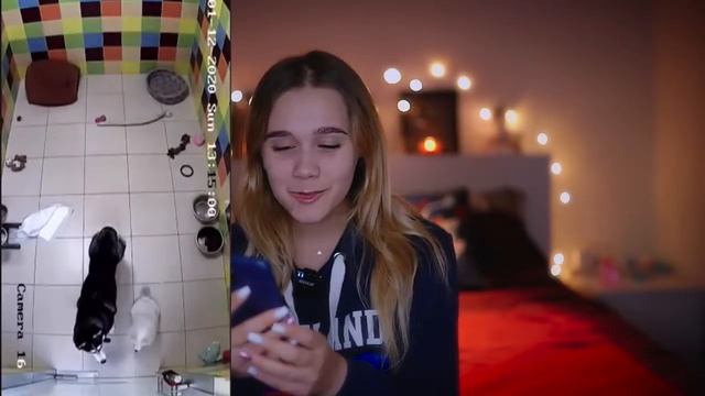 СПЯТ НА ОДНОЙ ЛЕЖАНКЕ! ДЕНЬ 2 СОБАКИ СКУЧАЮТ И ПЕРЕСТАЛИ КУШАТЬ! СКРЫТЫЕ КАМЕРЫ У ПИТОМЦЕВ В НОМЕРЕ смотреть онлайн