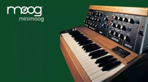 Moog Minimoog - Famous Sounds