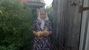 У БАБУШКИ НАСТИ ПОПОЛНЕНИЕ!!!