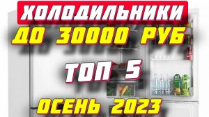 ХОЛОДИЛЬНИКИ ДО 30000 РУБ 2023