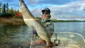 Секреты ловли амура на фидер