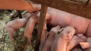 Караулил 🕵️всю ночь и в итоге проспал 🥴