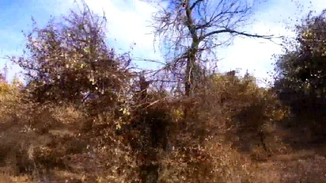 САЙЁХ ДУСТИ (ДЖИЛИКУЛ) смотреть онлайн