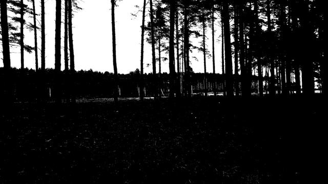 Depressive Black Metal Bands (Часть 4). Рубрика "POVENE"