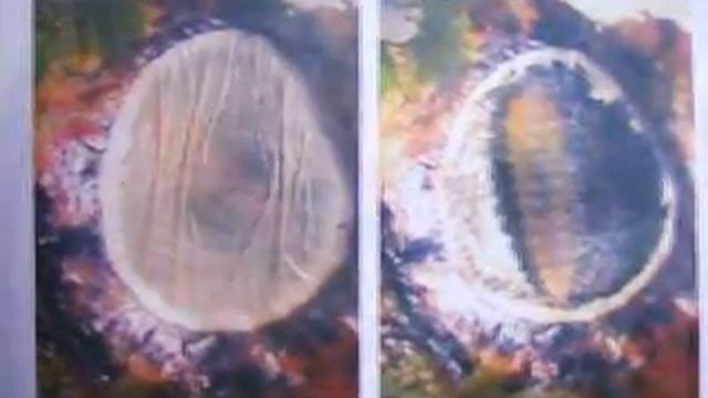 Attenborough Arboretum, Detail Of Moth Damage смотреть онлайн