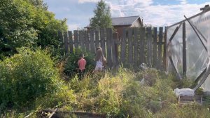 Теплицу снесло ветром