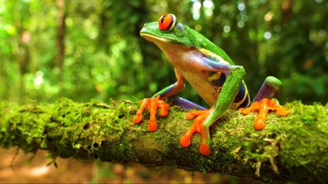 Таинственна седая ночь смотреть онлайн