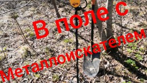 Погулял по полю с металлоискателем,