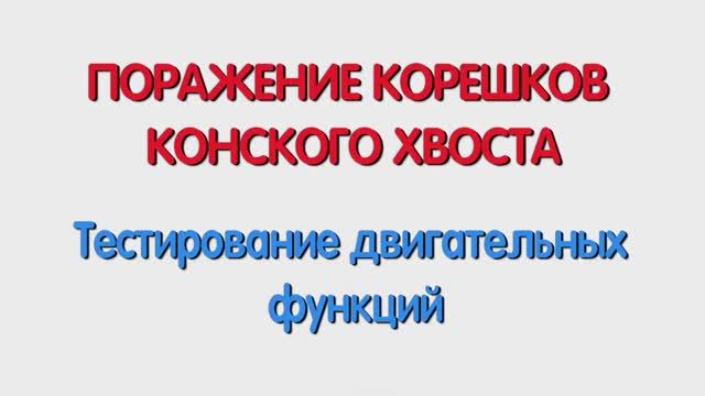 С. Поражение корешков конского хвоста. Тестирование двигательных функций.