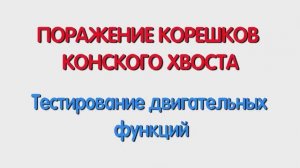 С. Поражение корешков конского хвоста. Тестирование двигательных функций.