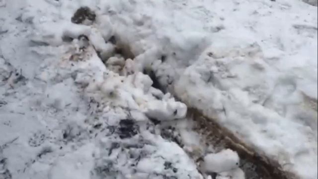 ЗАСАДИЛИ ПОЛНЫЙ ПРИВОД / РЕНО ДАСТЕР/ НА ДОМ/ RENAULT DUSTER загруз в грязи/ джип застрял БЕЗДОРОЖЬ смотреть онлайн