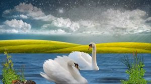 Лебединная верность  Упала птица в камыши