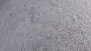 Весенняя рыбалка на лесном озере. Искали ямы с сигом, когда нашли оборвали все снасти.