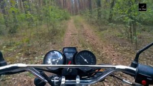 на что способна Альфа на 95 бензине