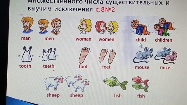 Множественное число существительных, 3 класс