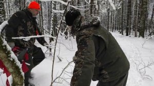 Охота на волка с флажками. Первые неудачи.