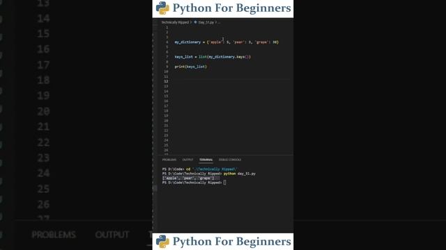 How To Put Keys & Values From Dictionary Into A List | Python For Beginners