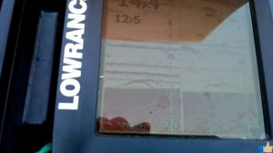 Сом на эхолоте Lowrance Elite 5x CHIRP