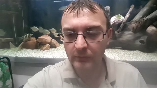 Fluval FX6 и Dophin C-1600 проработали 6 месяцев, напор воды упал вдвое. Вскрытие покажет! смотреть онлайн