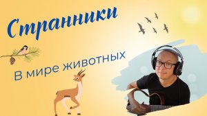 Cтранники (В мире животных) кавер на гитаре