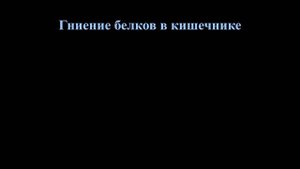 Лекция № 11.  Часть 2.  Транспорт АК.  Гниение белков в кишечнике