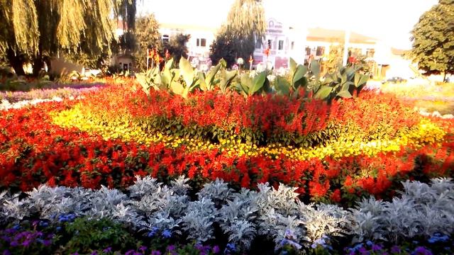 2017 08 05 Трубчевск! смотреть онлайн