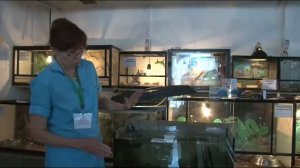 Организация живого уголка в школе