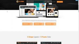 VG Lilama - Mega Shop Responsive WooCommerce Theme        Benjy Elmer