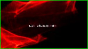 Patriotinė Daina - Ай-Серес. Песня на литовском языке