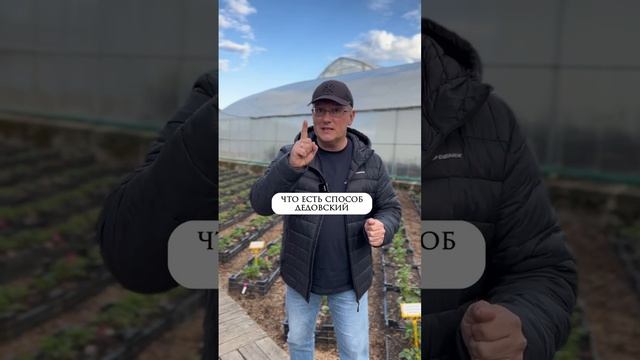 Внимание! Заморозки!