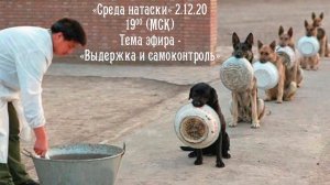 Прямой эфир - "Выдержка и самоконтроль"