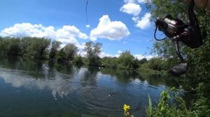 Ловим красивых бойцов карпов)))) рыбалка топ.