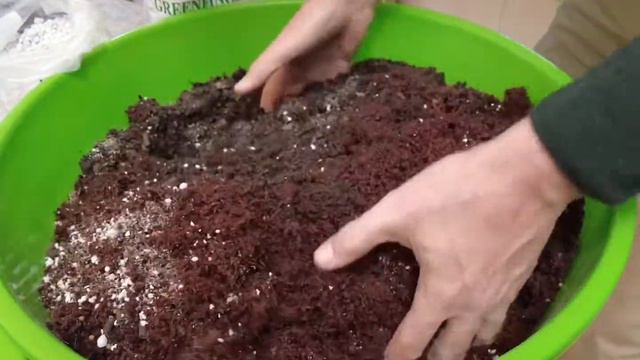 How to plant a colour themed Hanging Basket смотреть онлайн