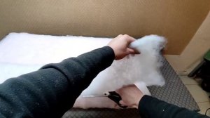 Замена наполнителя в подушке своими руками..