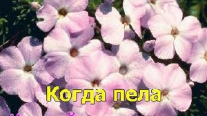 виновата ли я ( караоке )