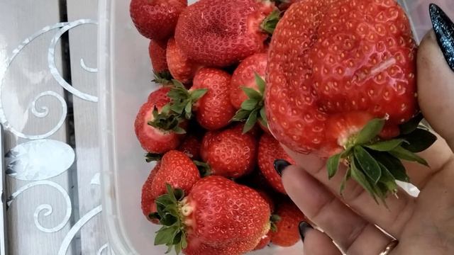 #126.Поспели первые вкусняшки-клубничка и помидорки! смотреть онлайн