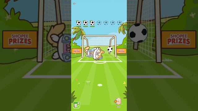 Soccer game (Shopee Pets)