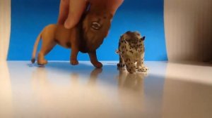 Топ 10 любимых фигурок диких кошек!